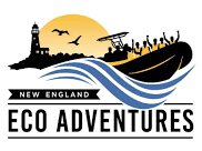 New England Eco Adventures